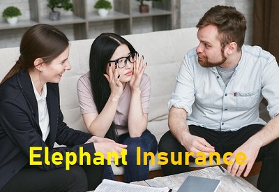 Elephant Insurance image