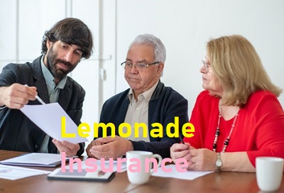 Lemonade Insurance image