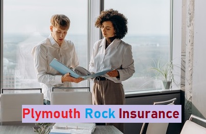 Plymouth Rock insurance image